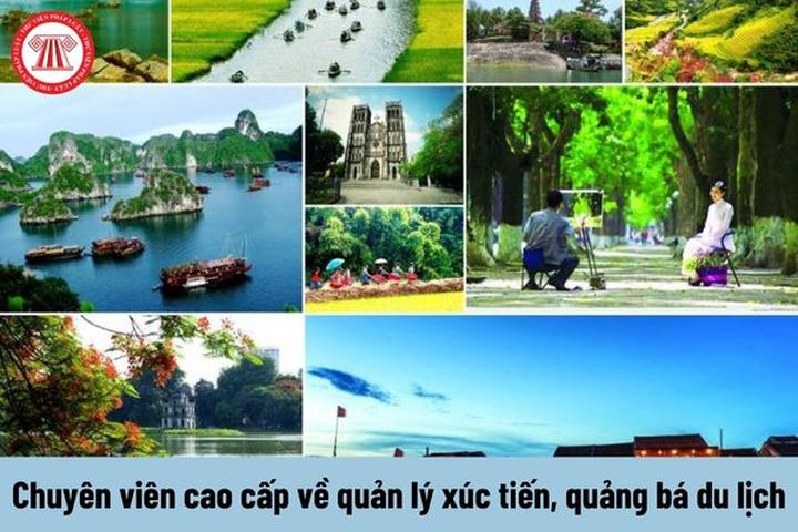 Tiêu đề: 9X Trở Về Quê: Hotspot Matrix Giới Thiệu Cách Sử Dụng Video Marketing Để Phát Triển Khúc Vườn Triệu Bông