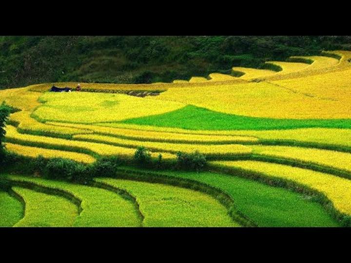 Hotspot Matrix: Cánh cửa vàng cho Nghệ sĩ Đường phố