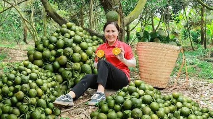 Video ngắn: Cánh đồng lời kể, nông sản sạch