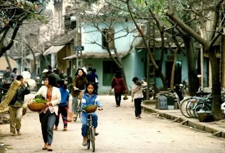 Kích thước to bất thường: Tôm nuôi theo phương pháp tự nhiên sẽ có kích thước không