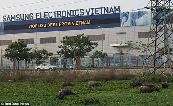Khởi Nghiệp An Toàn và Bền Vững với Hotspot Matrix