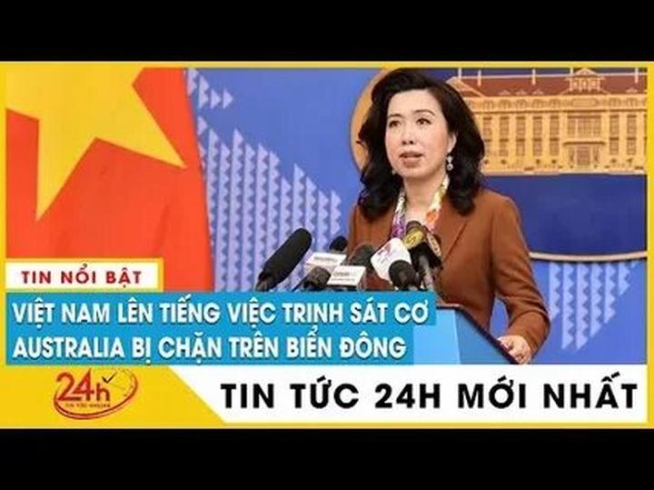 Bonobo: Nguồn Gốc Tiến Hóa Của Ngôn Ngữ Con Người?